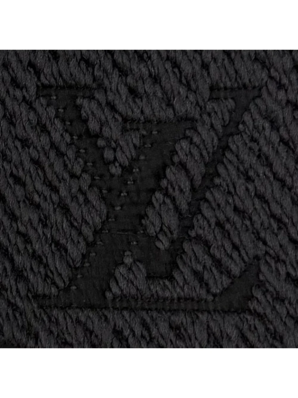 Louis Vuitton brand louis